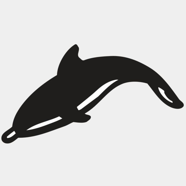 AR DOLPIN 16 RC Thumbnail