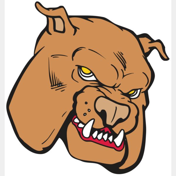 AR BDOG 41 RC Thumbnail