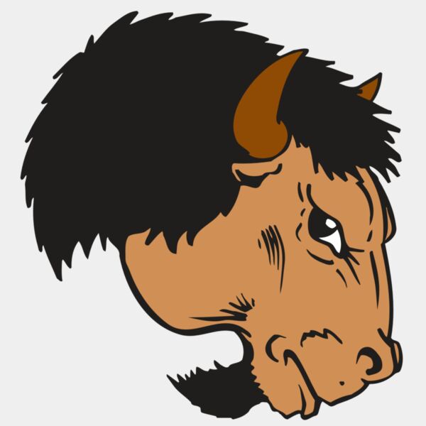 AR BUFFALO 16 RC Thumbnail