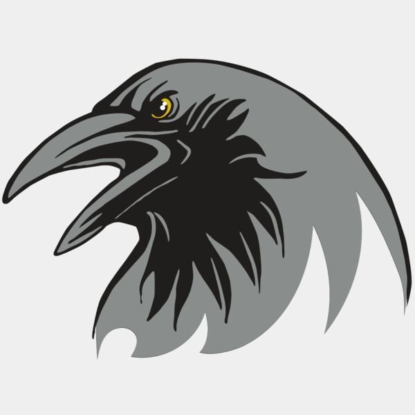 AR31 RAVEN 02 RQC Thumbnail