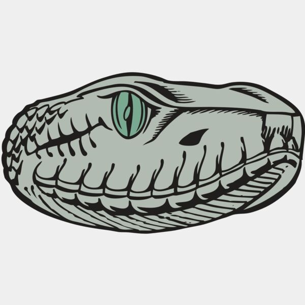 BAW SNAKE 10 RC Thumbnail