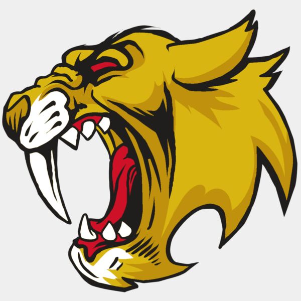 AR30 SABER 04 RQC Thumbnail